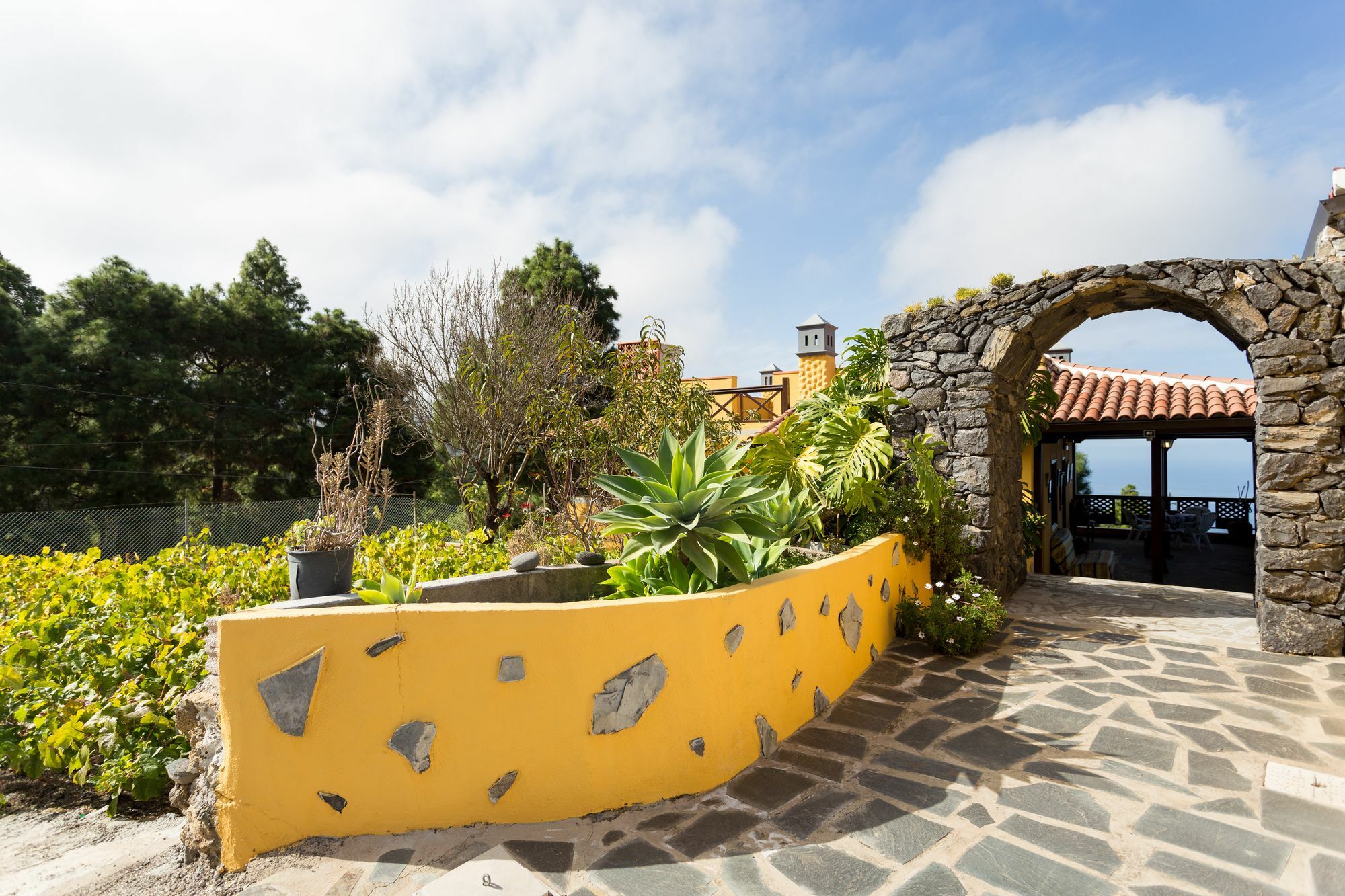 Finca Casa Yaya Icod De Los Vinos Ngoại thất bức ảnh